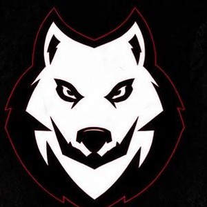 Dion Samuel Coaching System logo